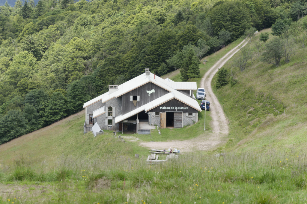 2024.07.17 Wildenstein 13