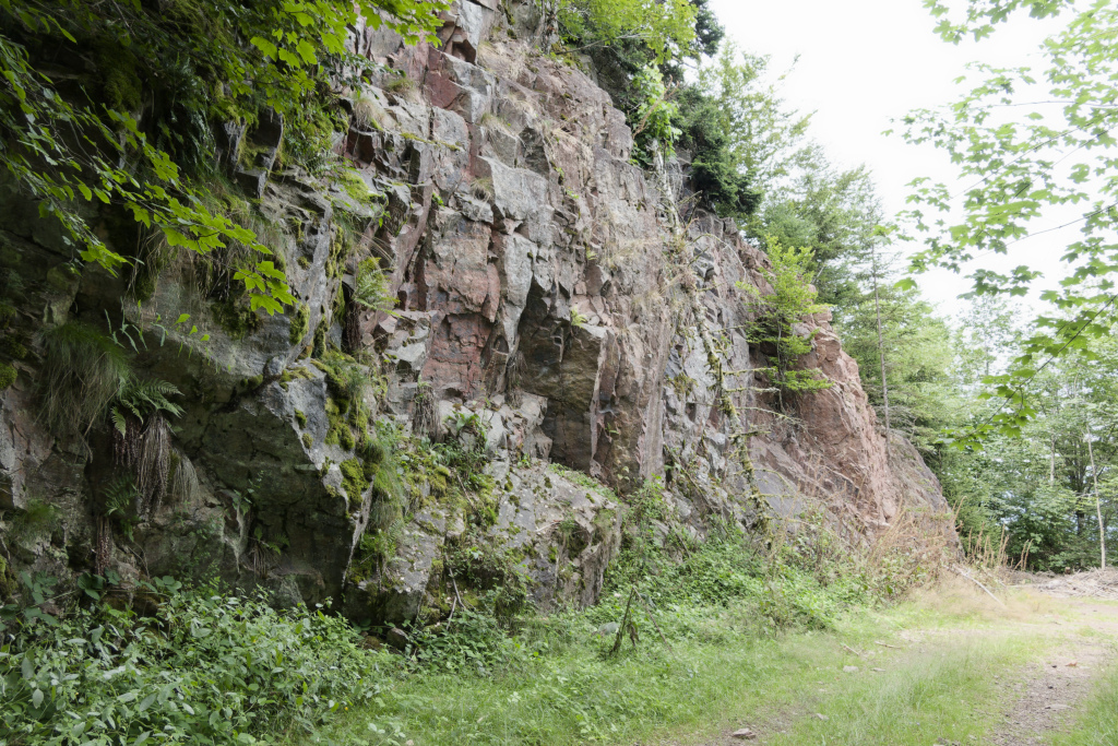 2024.08.14 Storckensohn 12