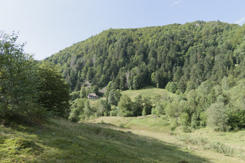 2024.08.14 Storckensohn 4