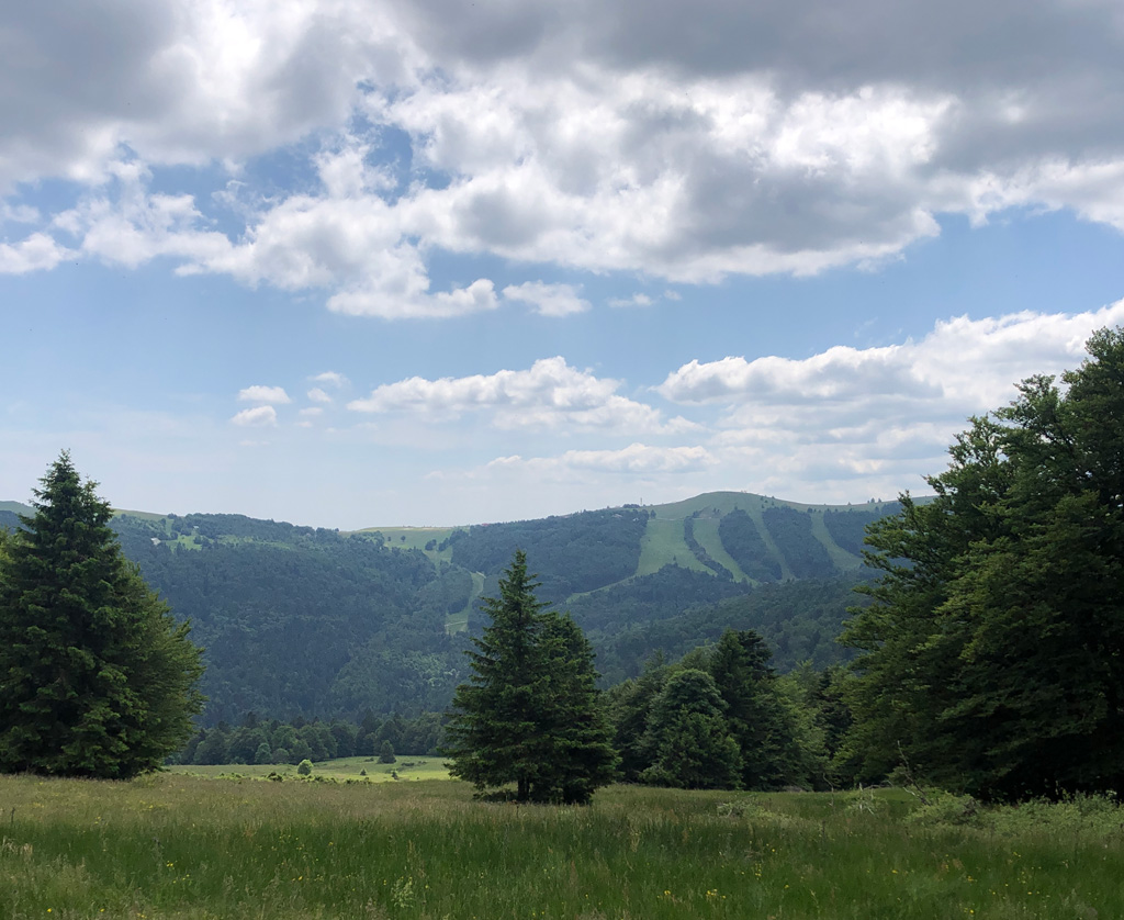 2025 06 18 lac lauch img13