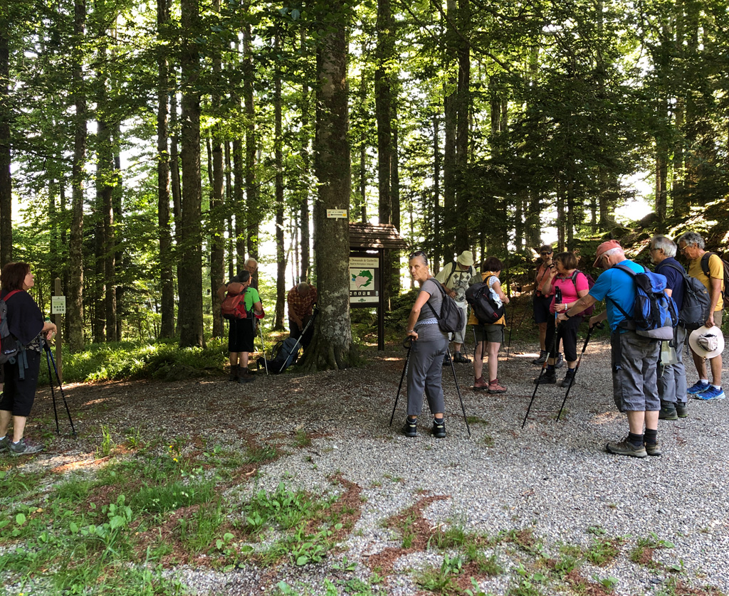 2025 06 18 lac lauch img2