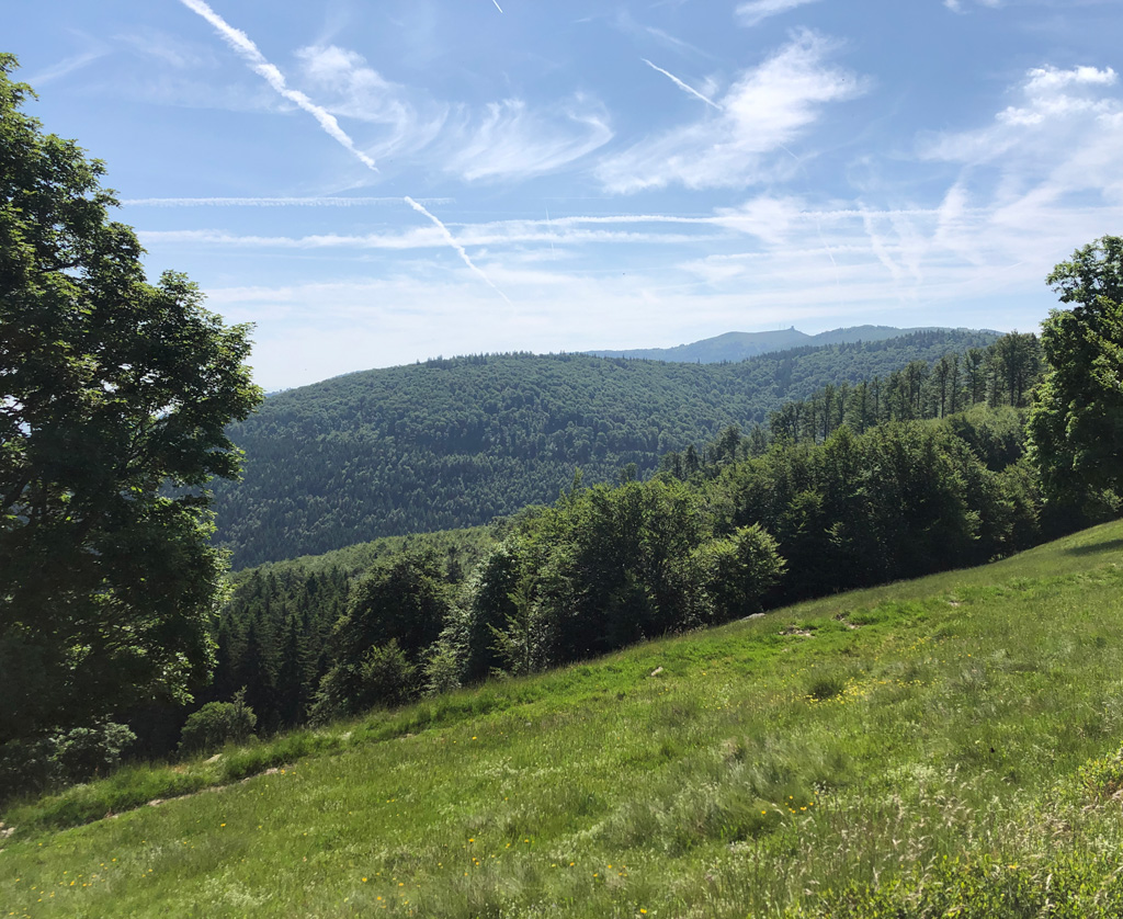 2025 06 18 lac lauch img4