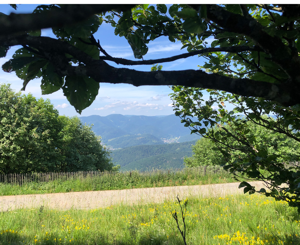 2025 06 18 lac lauch img6