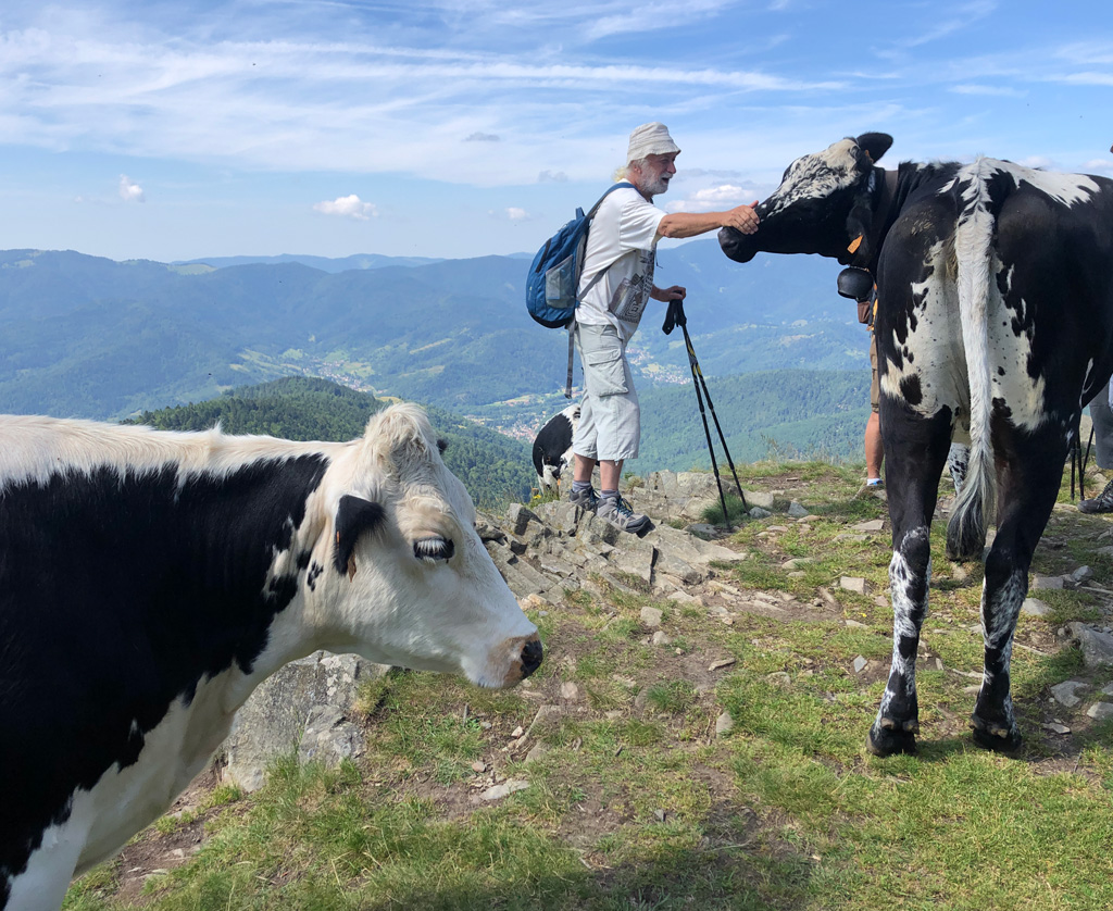 2025 06 18 lac lauch img7