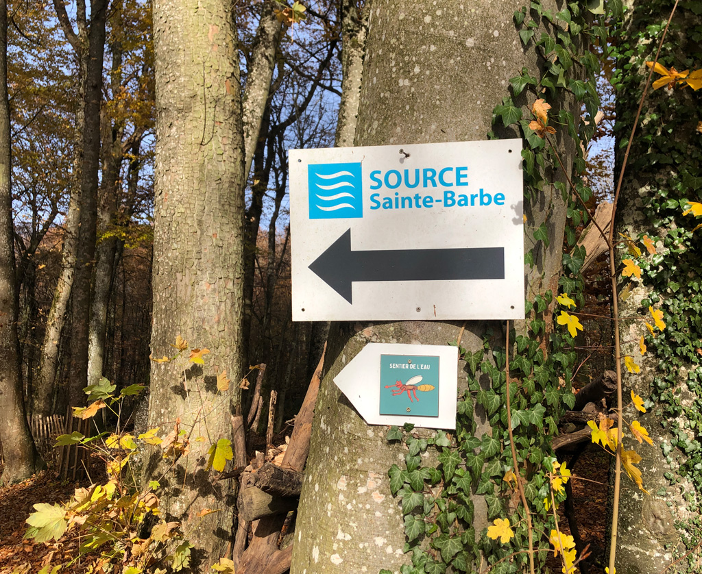 2025 11 12 altenach img11