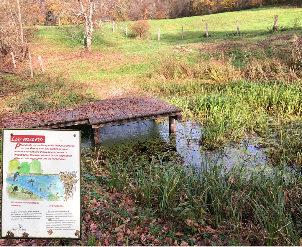 2025 11 12 altenach img12