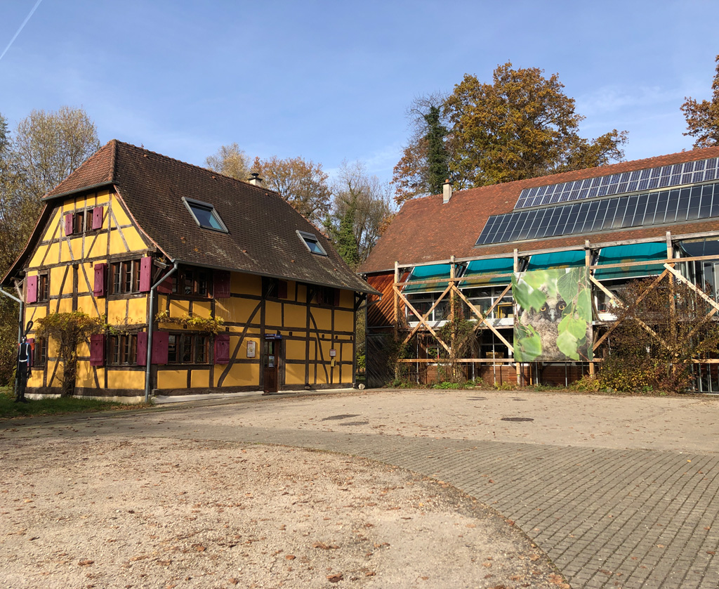 2025 11 12 altenach img13