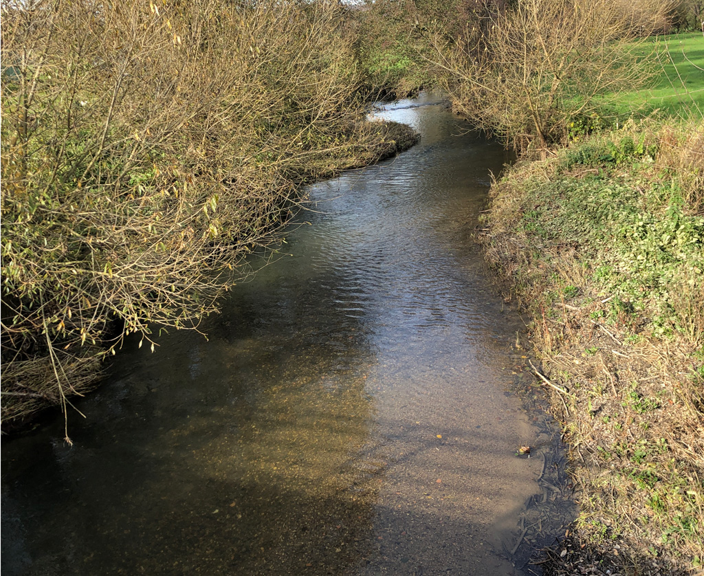 2025 11 12 altenach img14