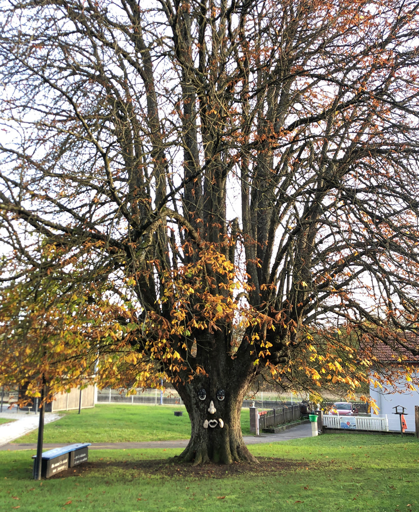 2025 11 12 altenach img19