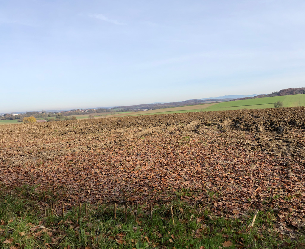 2025 11 12 altenach img6