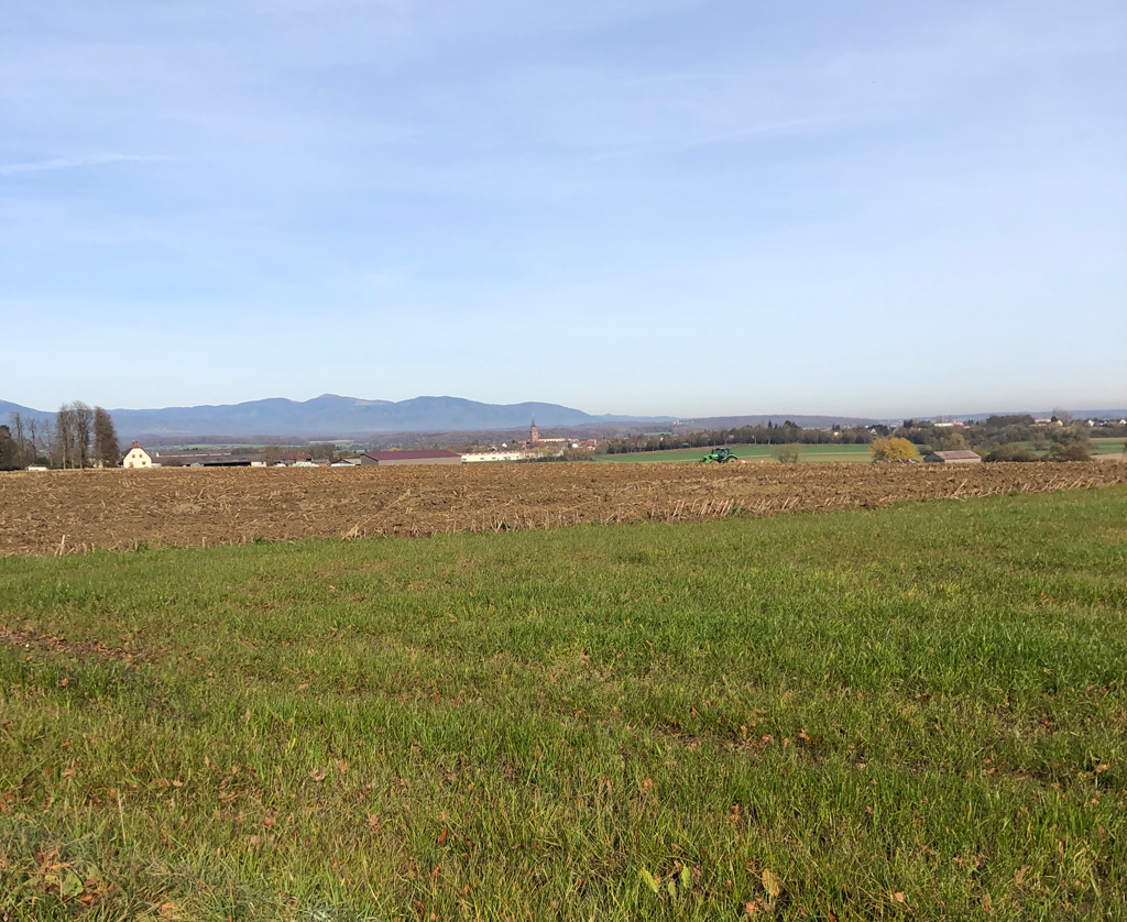 2025 11 12 altenach img7