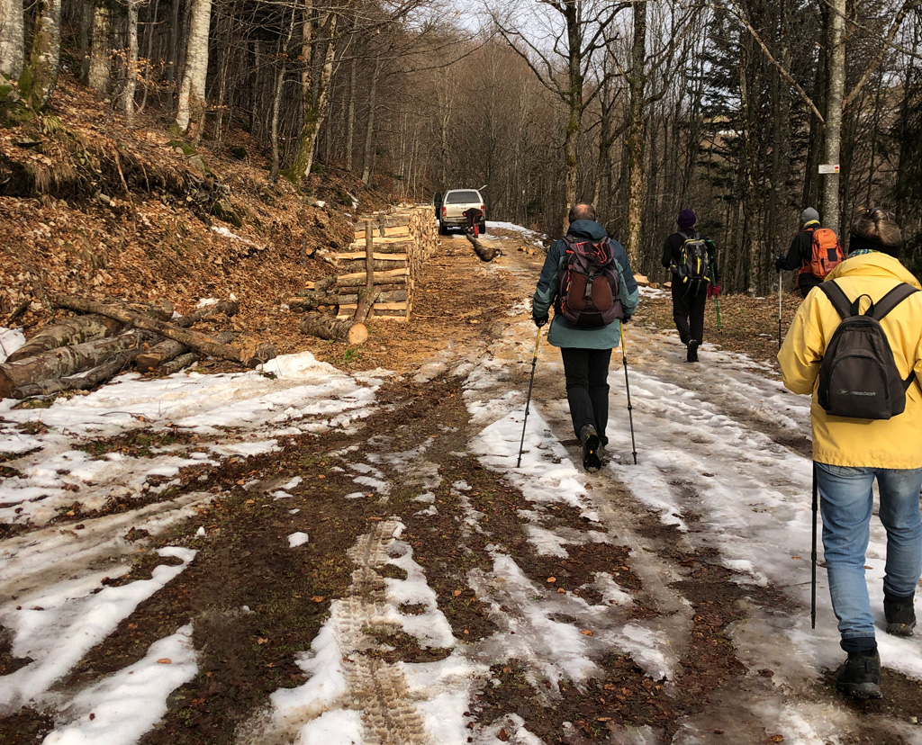 2025 12 03 geishouse img12