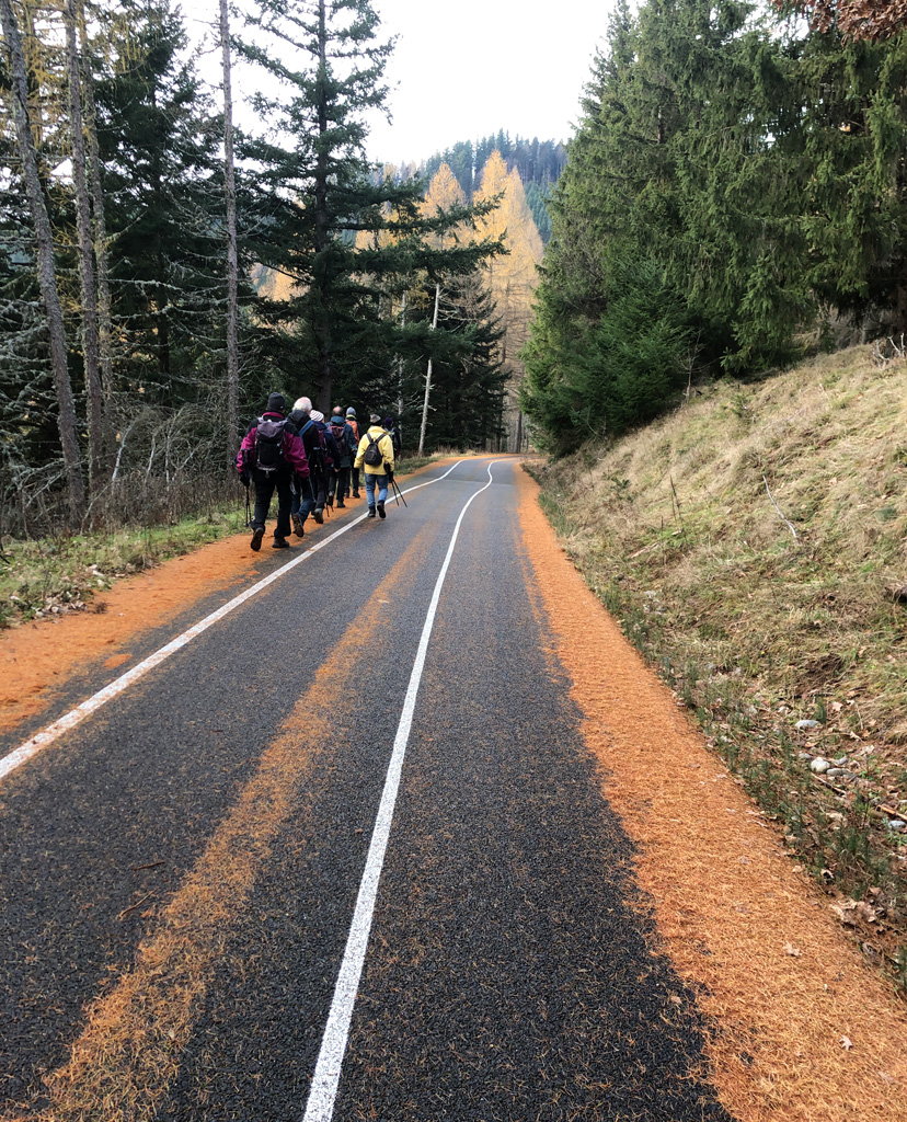 2025 12 03 geishouse img13