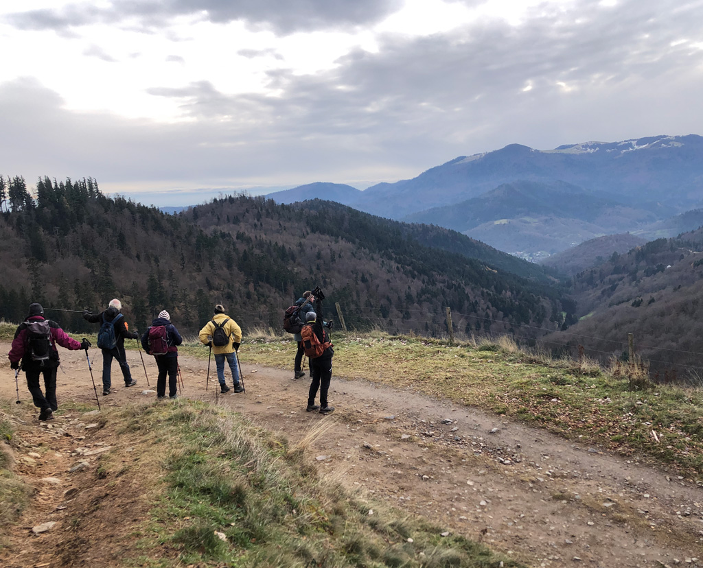 2025 12 03 geishouse img14