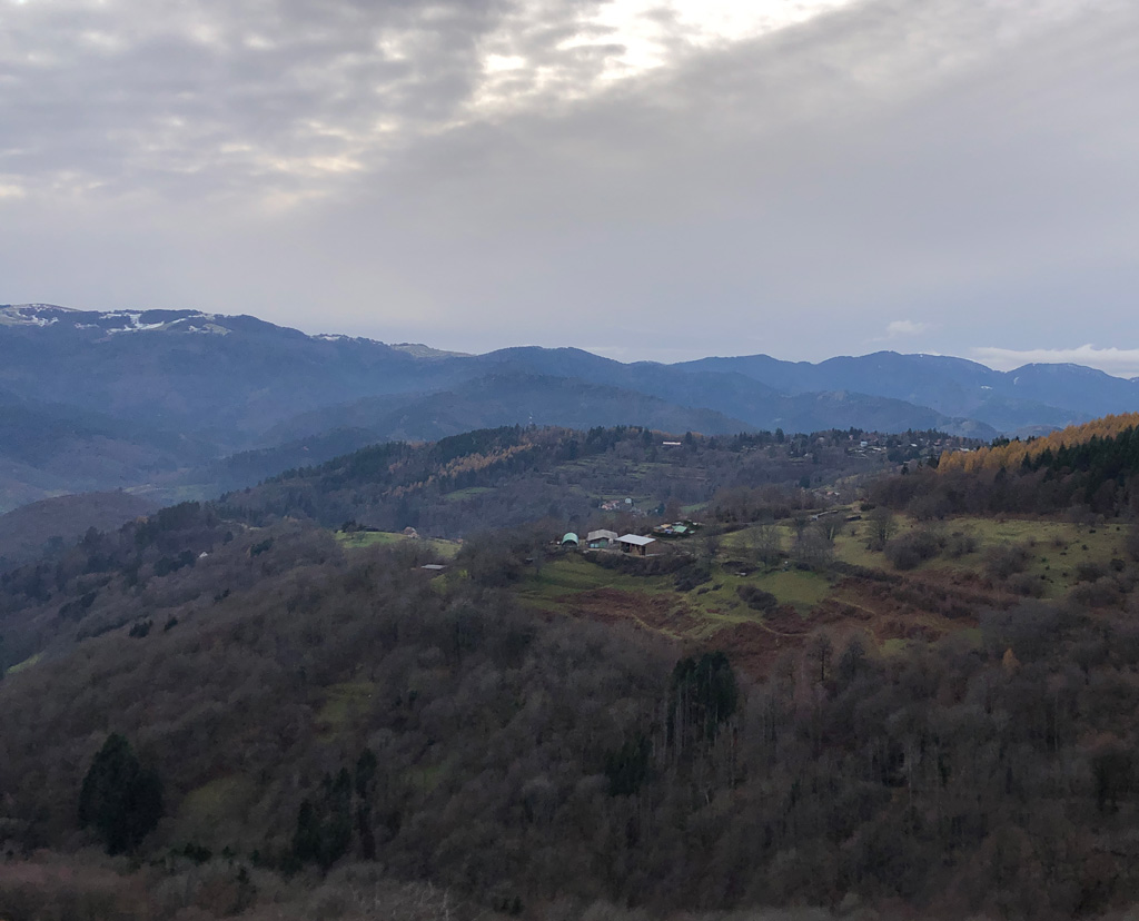 2025 12 03 geishouse img15