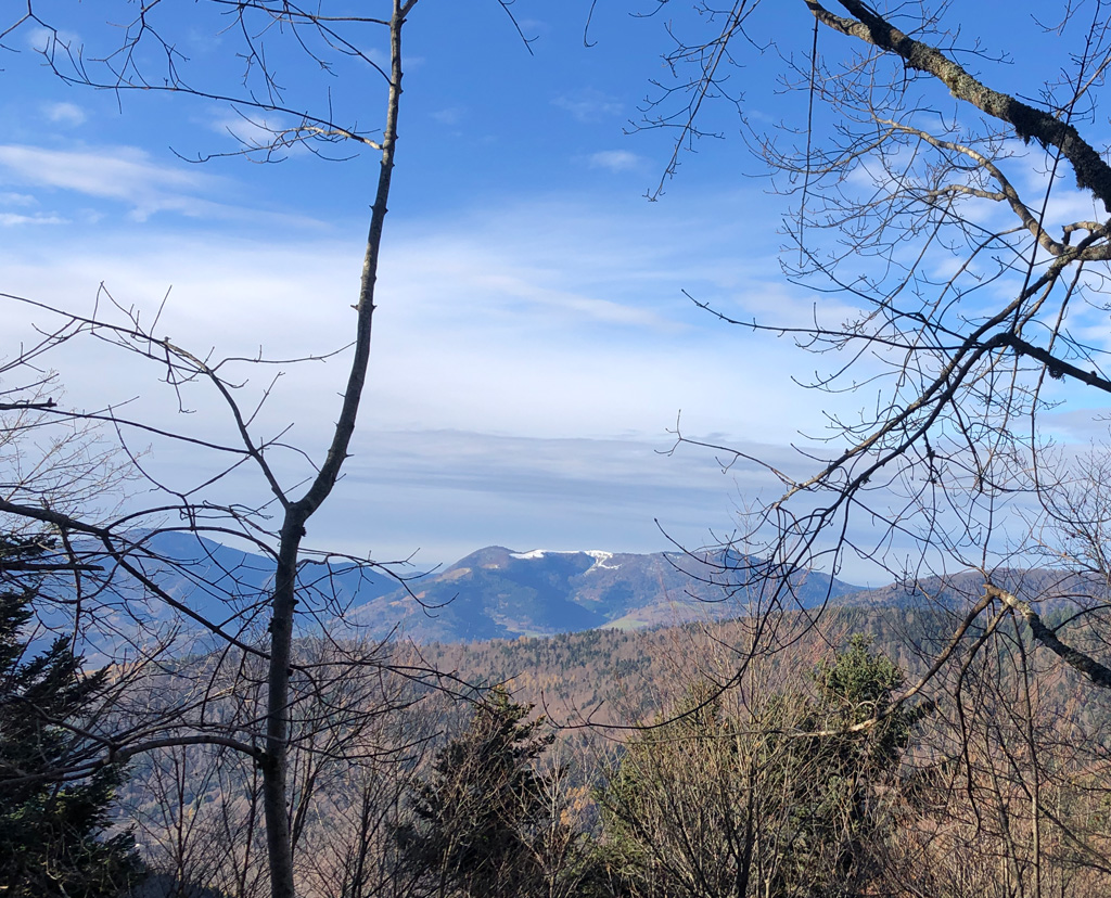 2025 12 03 geishouse img2