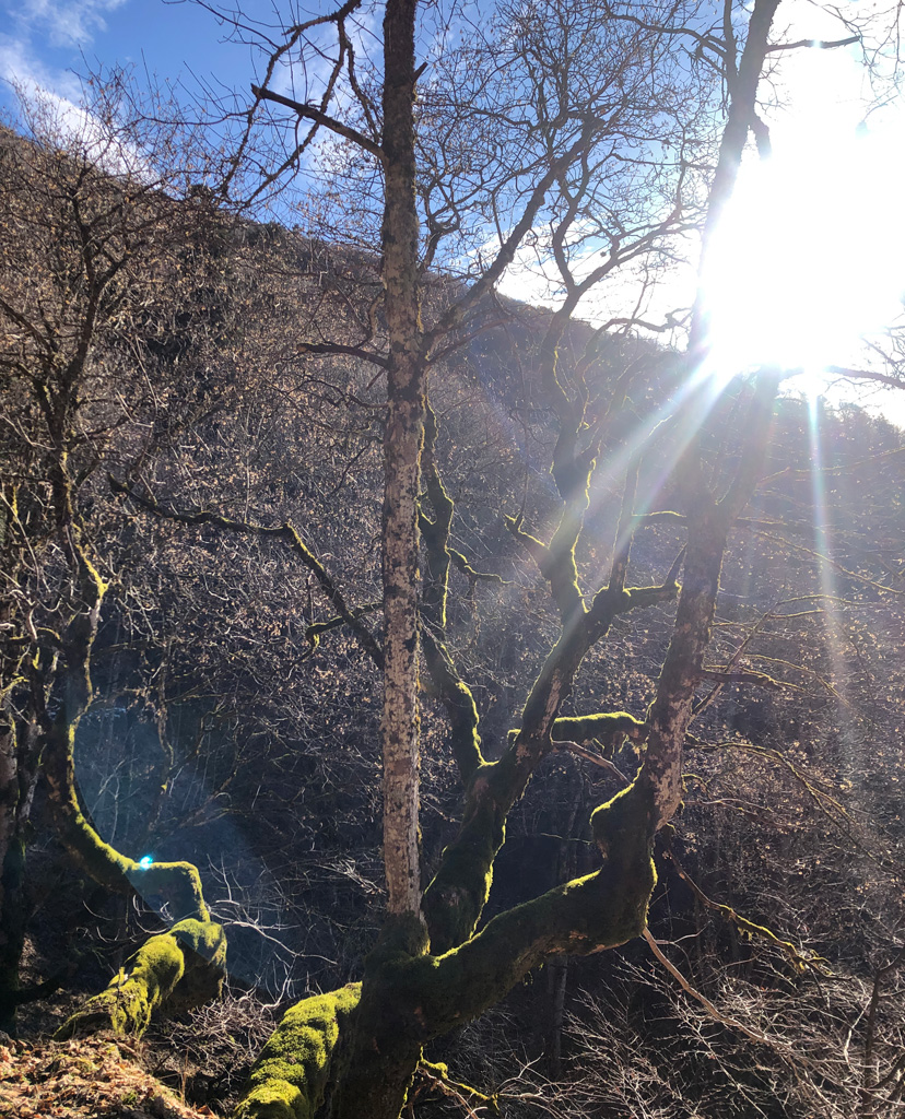 2025 12 03 geishouse img3