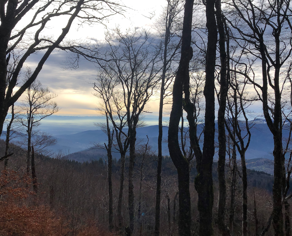 2025 12 03 geishouse img5