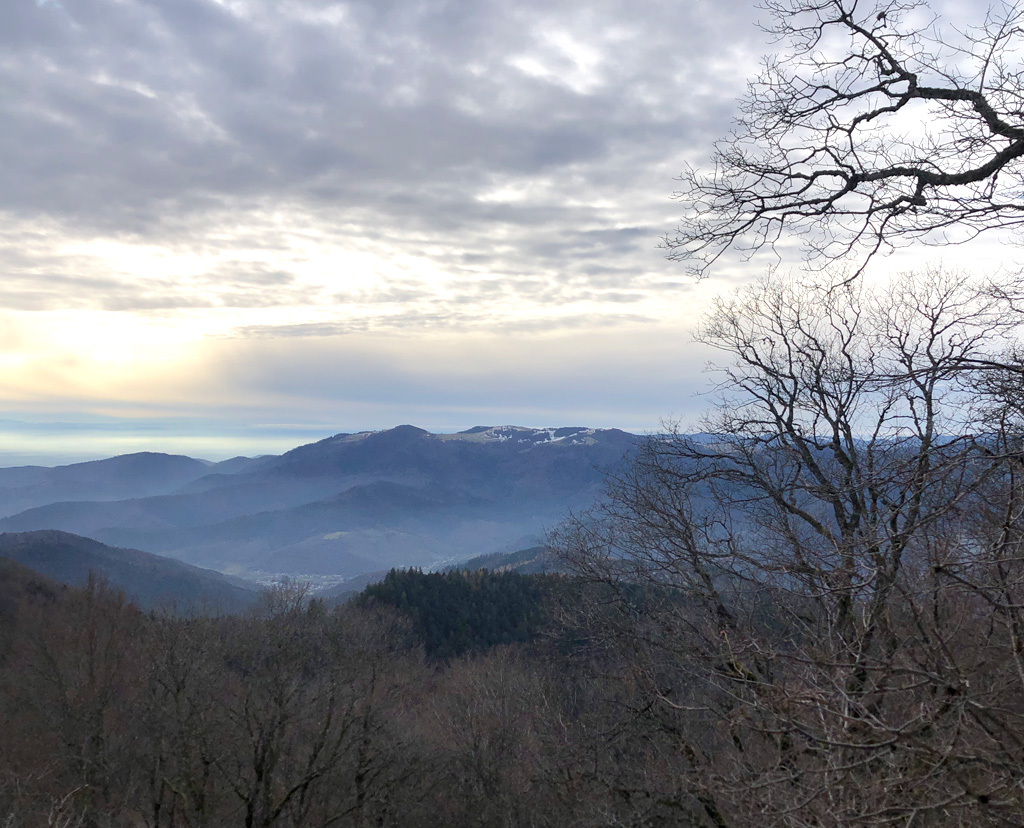 2025 12 03 geishouse img7