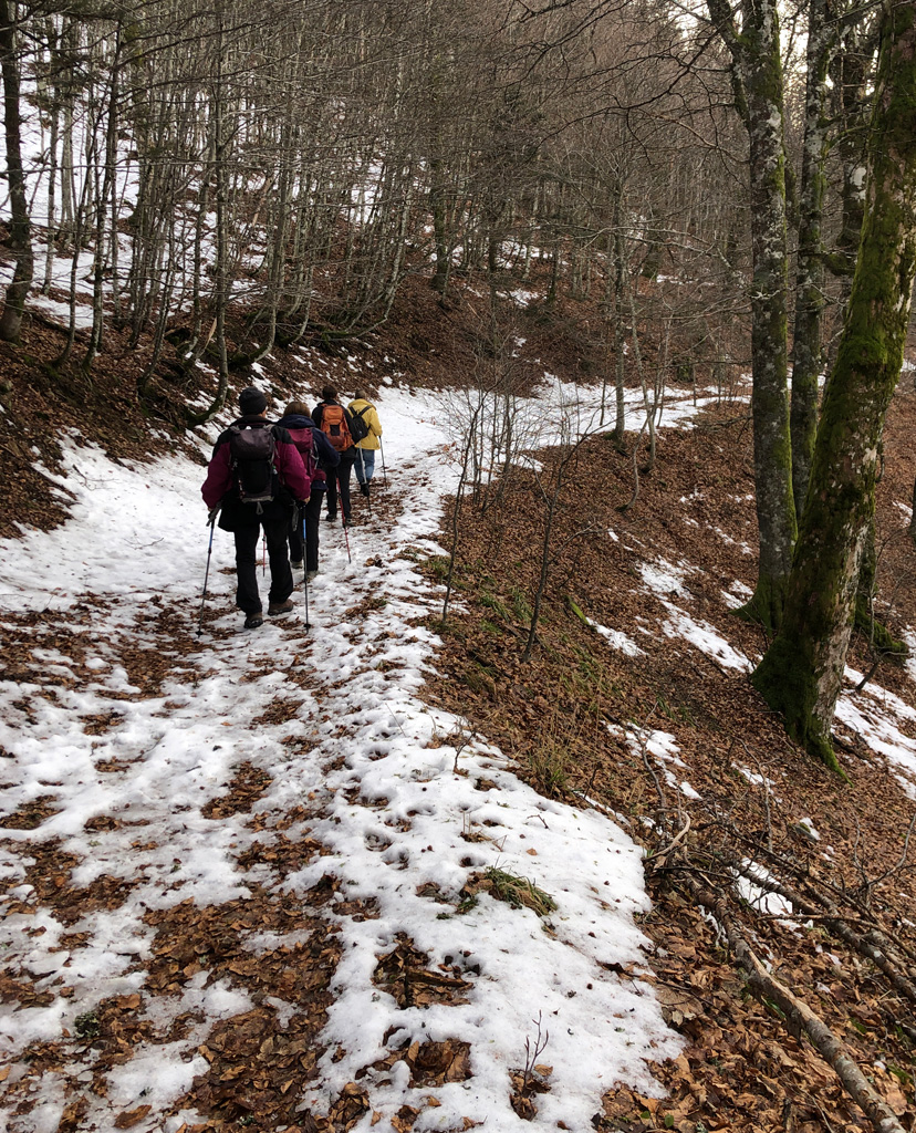 2025 12 03 geishouse img8