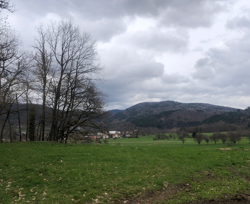 2026 03 11 lauw img5