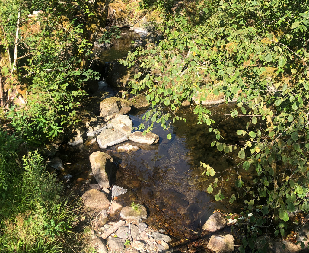 2026 07 15 sewen img2