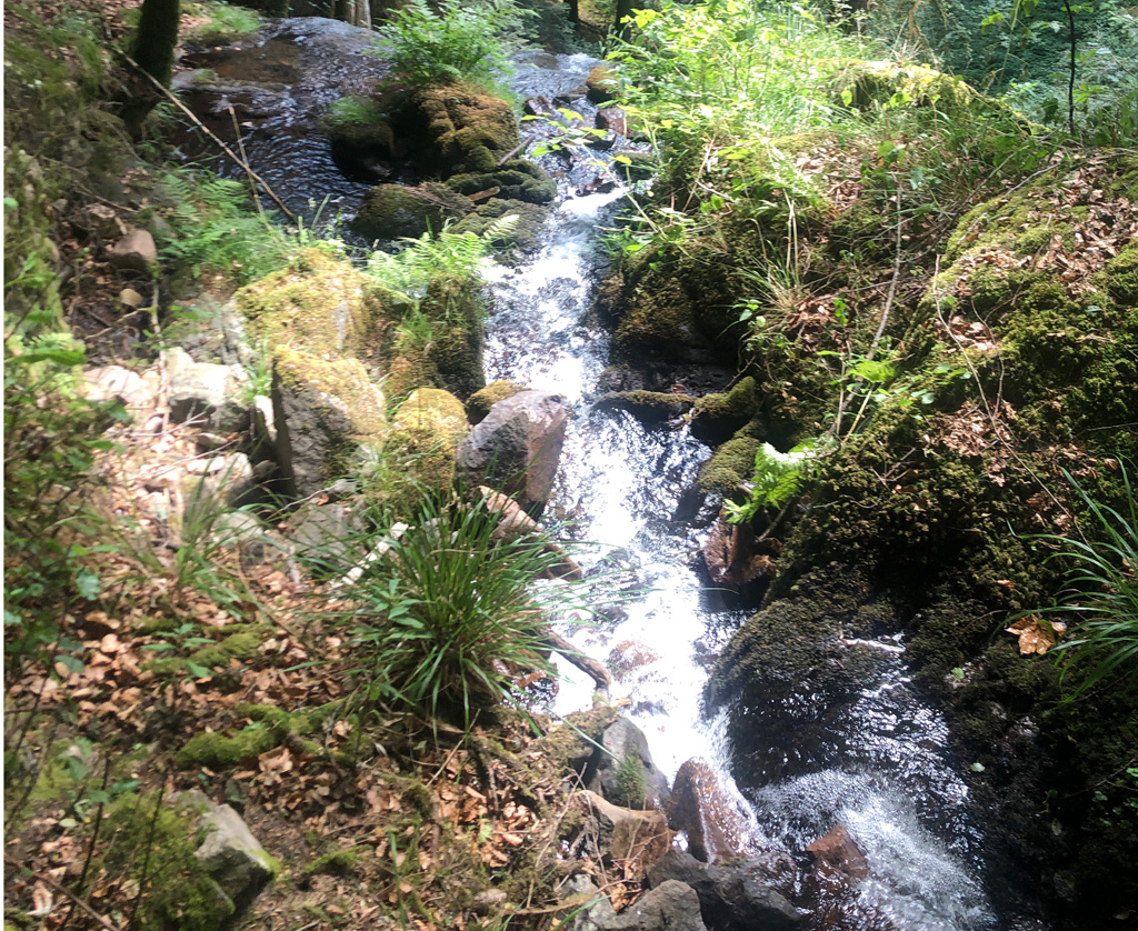 2026 07 15 sewen img5