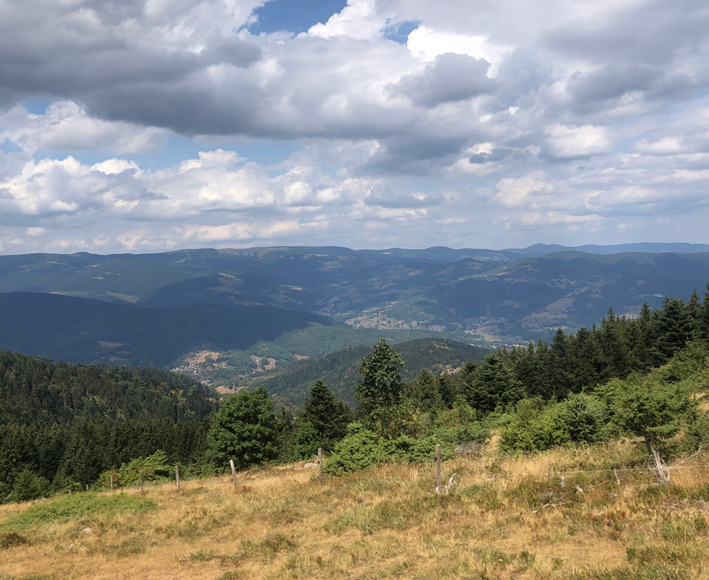 2026 08 05 breitenbach img18