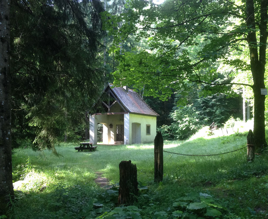 2026 09 02 mittlach img1