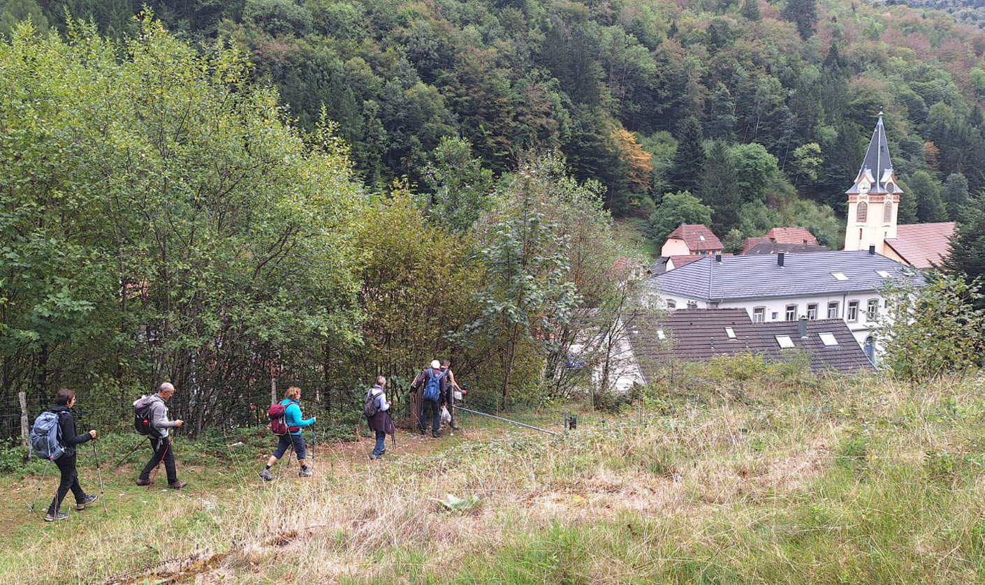2026 09 09 wildenstein img11