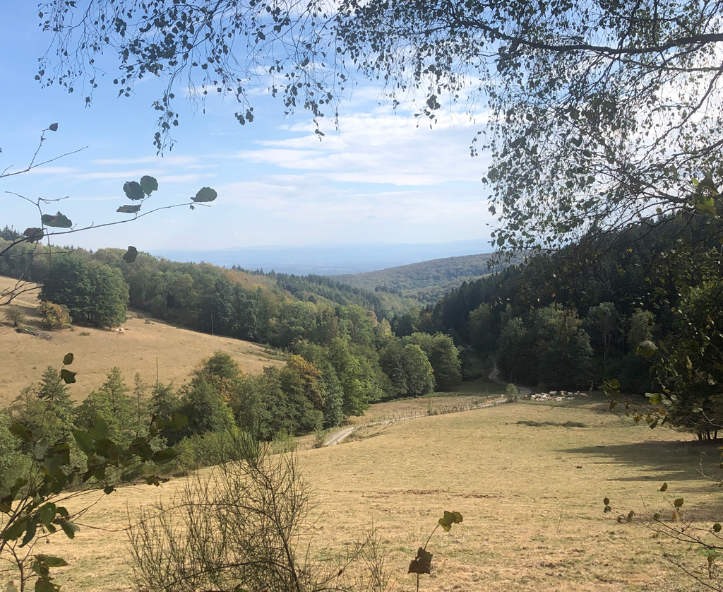 2026 09 30 rougemont img17