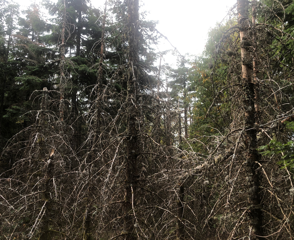 2026 09 30 rougemont img6