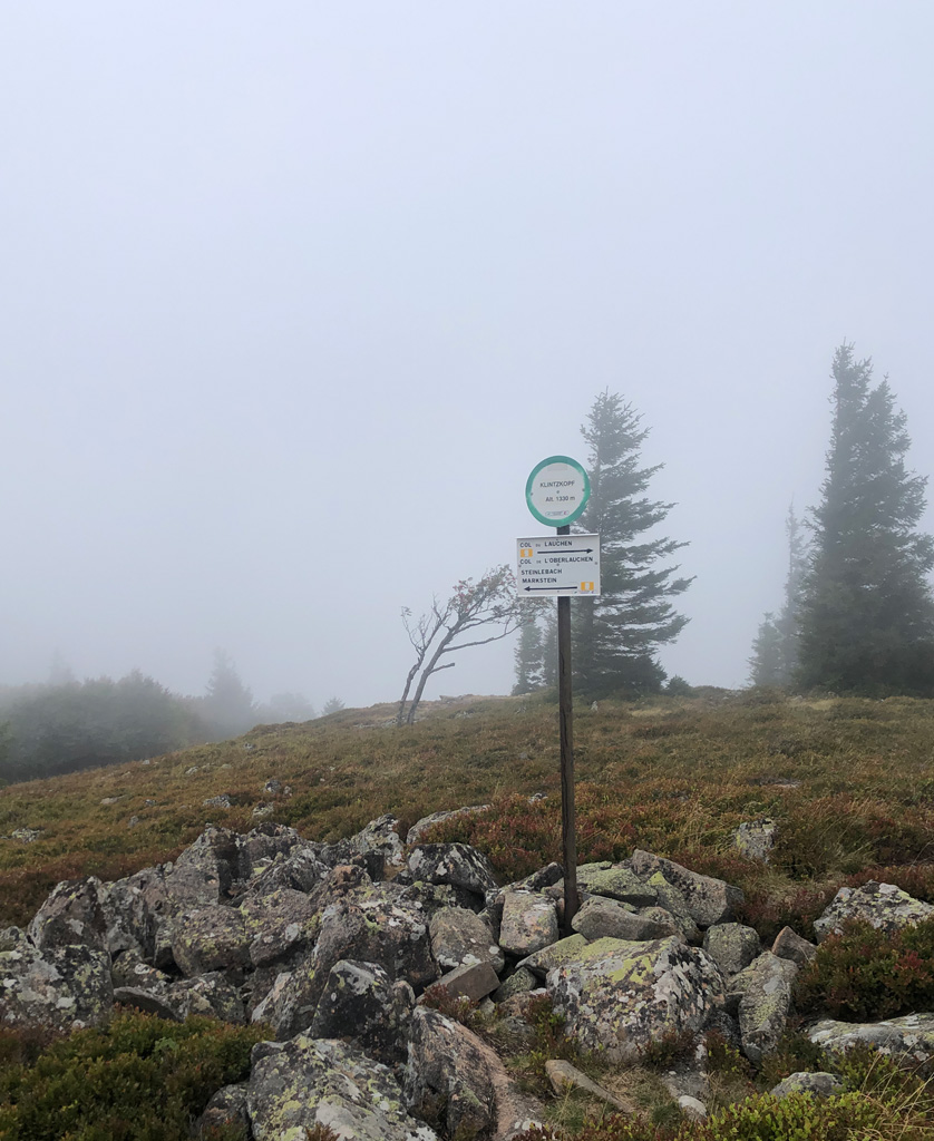 2026 09 16 markstein img5