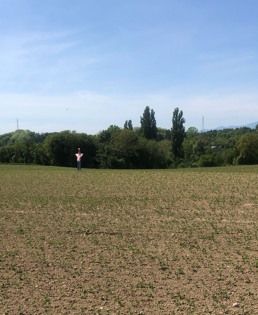 2022 05 15 mp pc3 img7