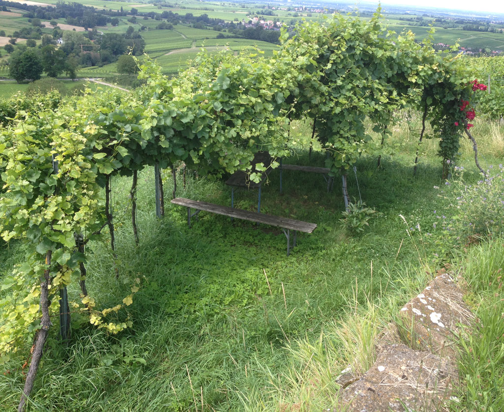 2021 07 28 britzingen img 16