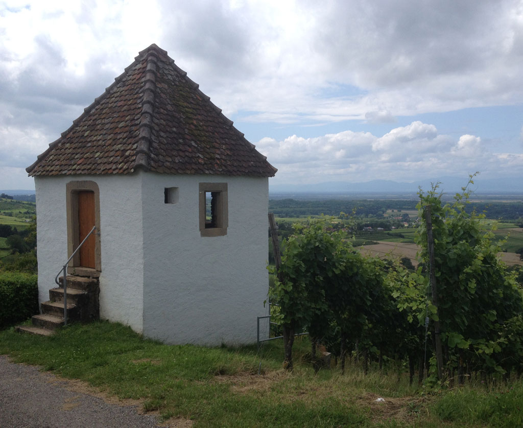 2021 07 28 britzingen img 17