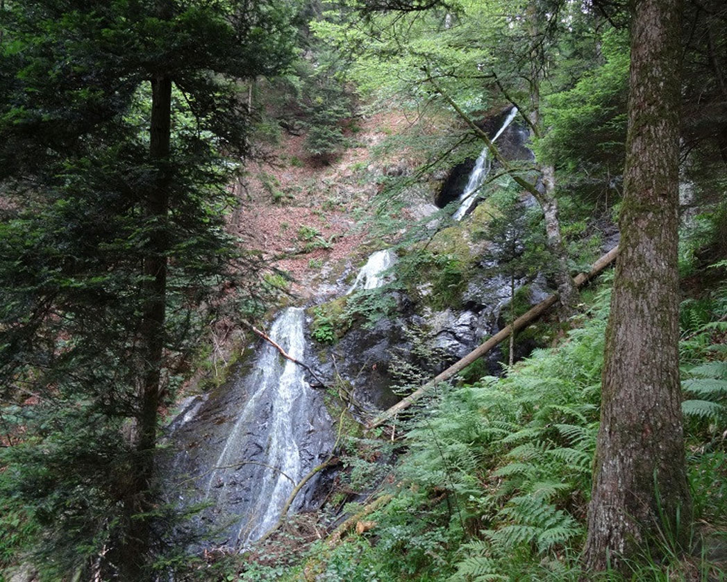 img2 cascade