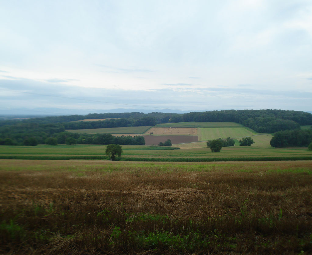 DSC01497