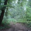 schlierbach-2021-09-01