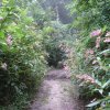 schlierbach-2021-09-01