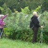 schlierbach-2021-09-01