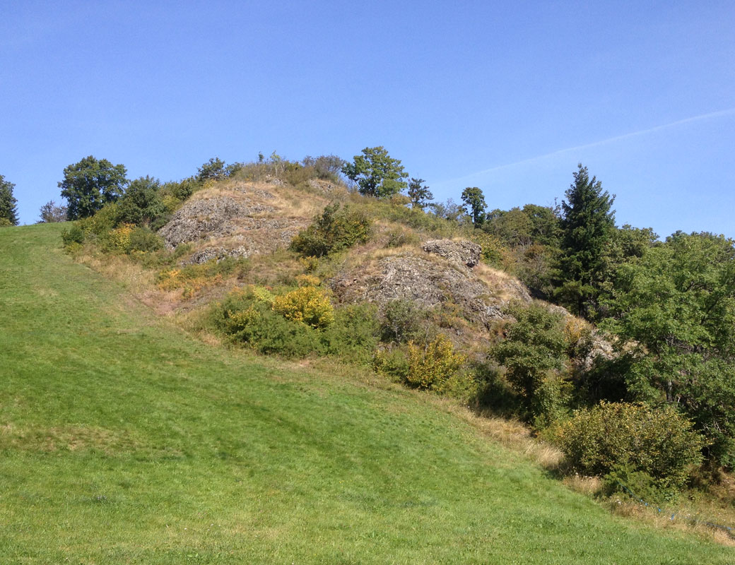 2021 09 15 willer img11