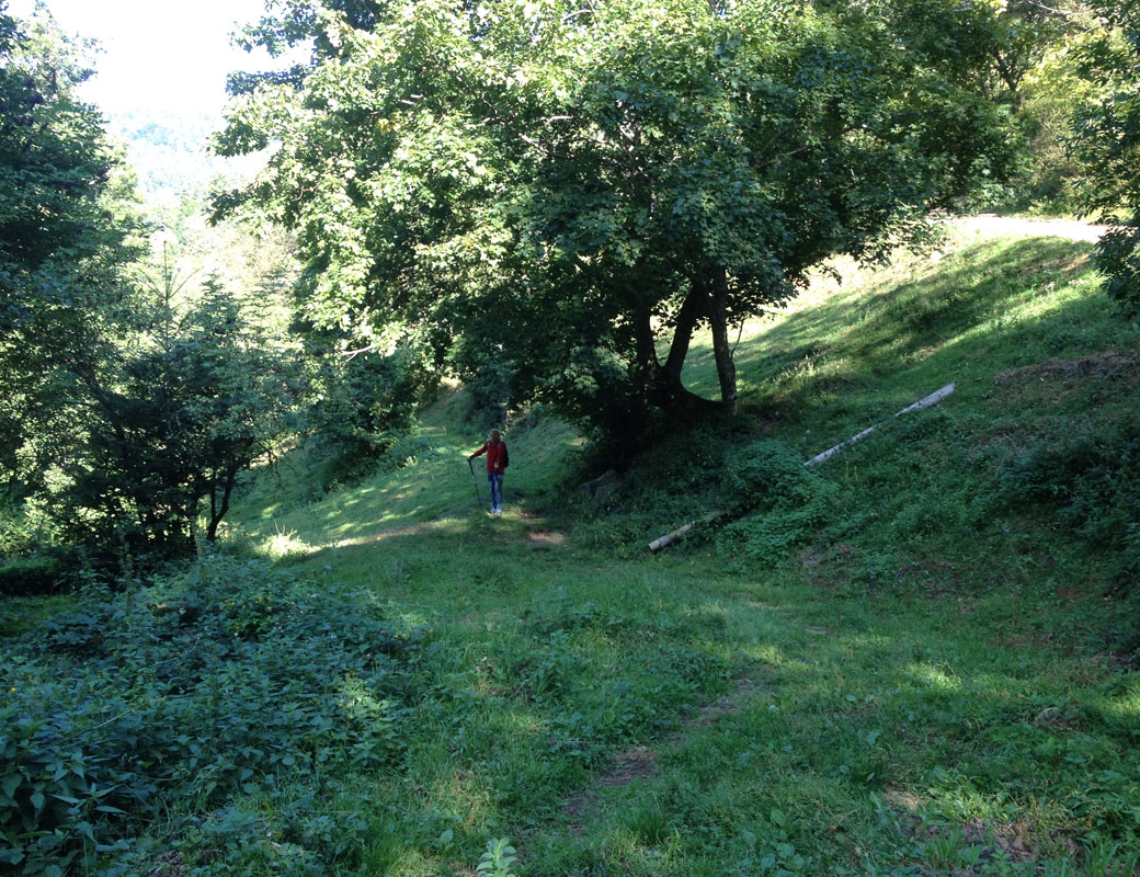 2021 09 15 willer img3